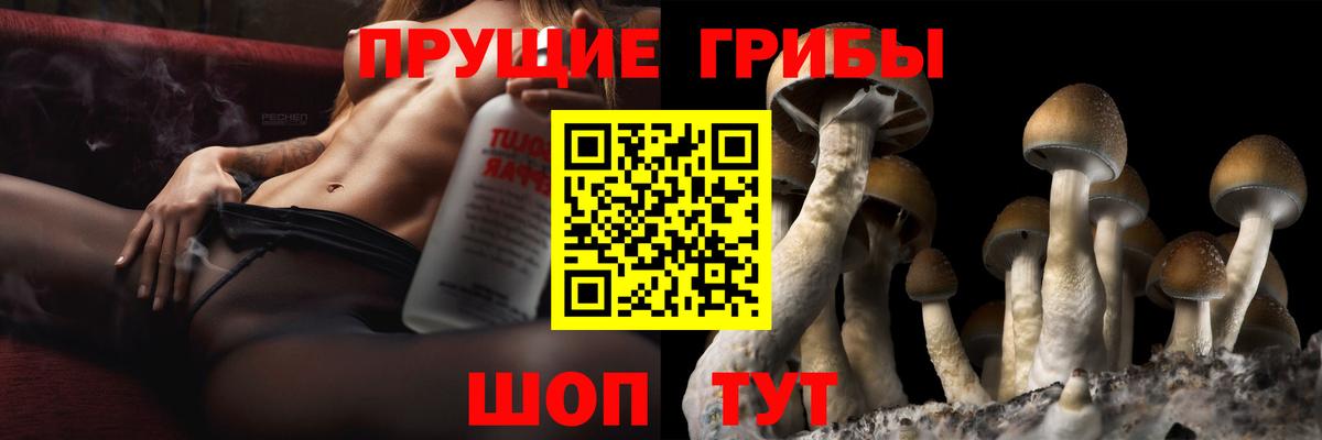 Новороссийск  Галлюциногенные грибы ЛСД  Вход с VPN  Псилоцибиновые грибы Psilocybine cubensis 
